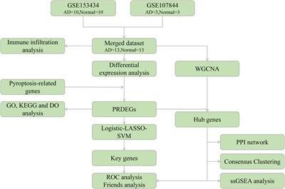 Roles of pyroptosis and immune infiltration in aortic dissection